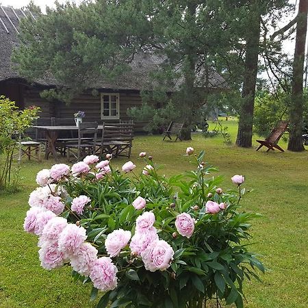 Maenni Summerhouse Kassari Extérieur photo